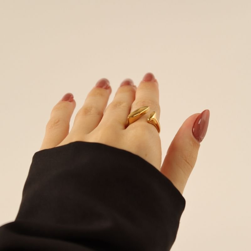 Anel Orgânico em Aço Inox (Tamanho 19)