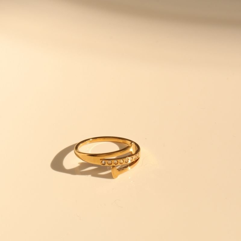 Anel Prego Delicado em Aço Inox (Tamanho 16)