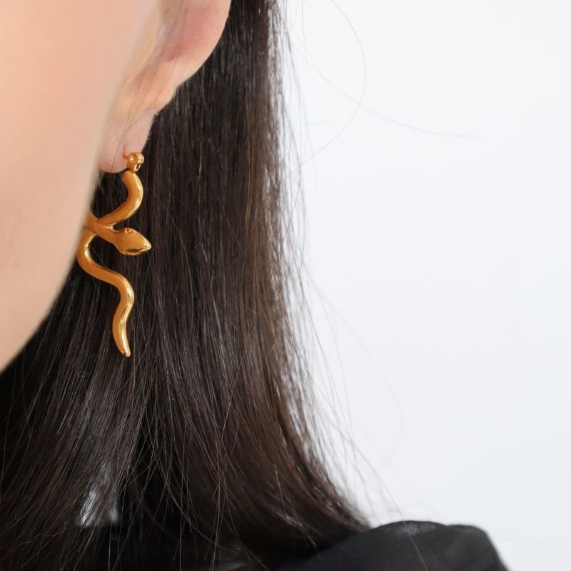 Argola Cobra em Aço Inox