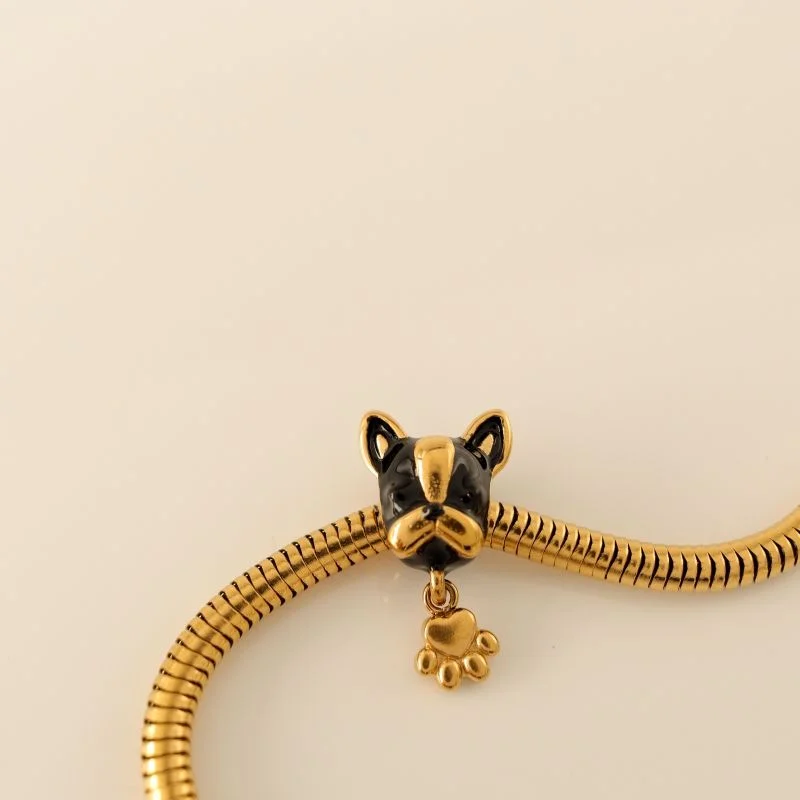 Berloque em Aço Inox Separador Dog com Patinha