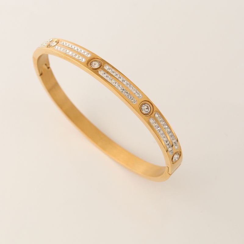 Bracelete Duas Linhas Cravejado em Aço Inox (Linha Premium)