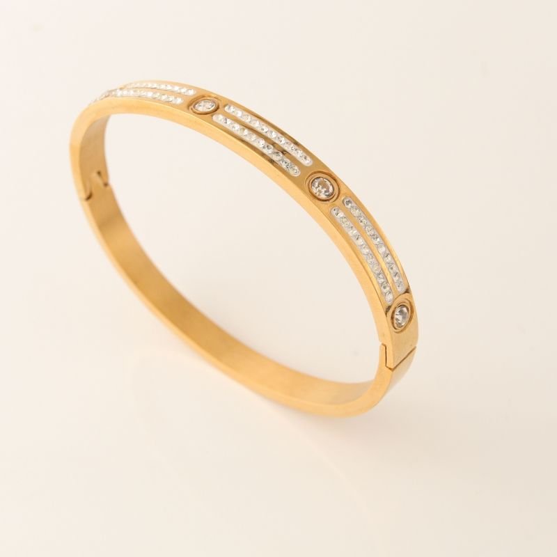 Bracelete Duas Linhas Cravejado em Aço Inox (Linha Premium)