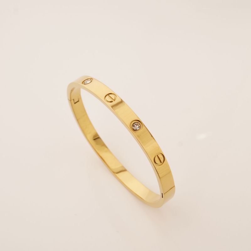 Bracelete Inspiração Cartier com Ponto de Luz em Aço Inox (Linha Premium)