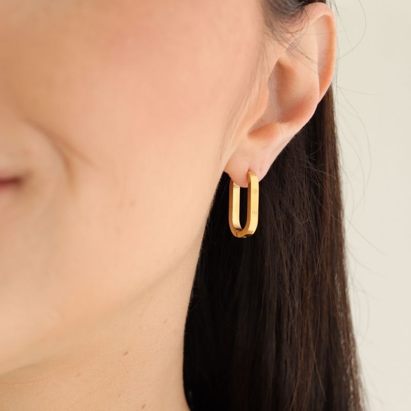 Brinco Argolinha Inpiração Cartier Love em Aço Inox