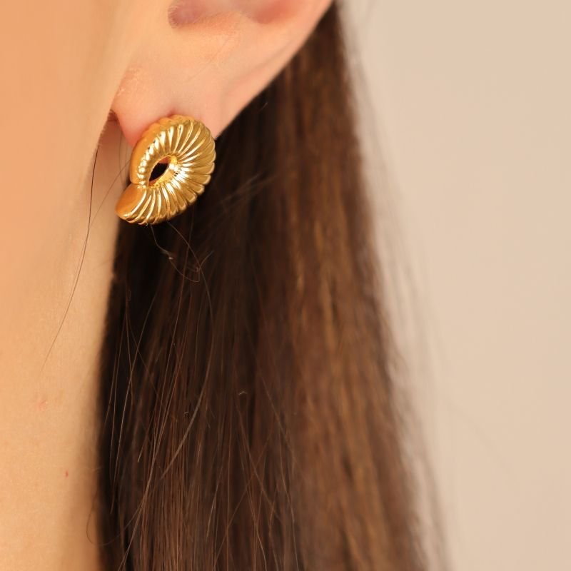 Brinco Caracol Moderno em Aço Inox