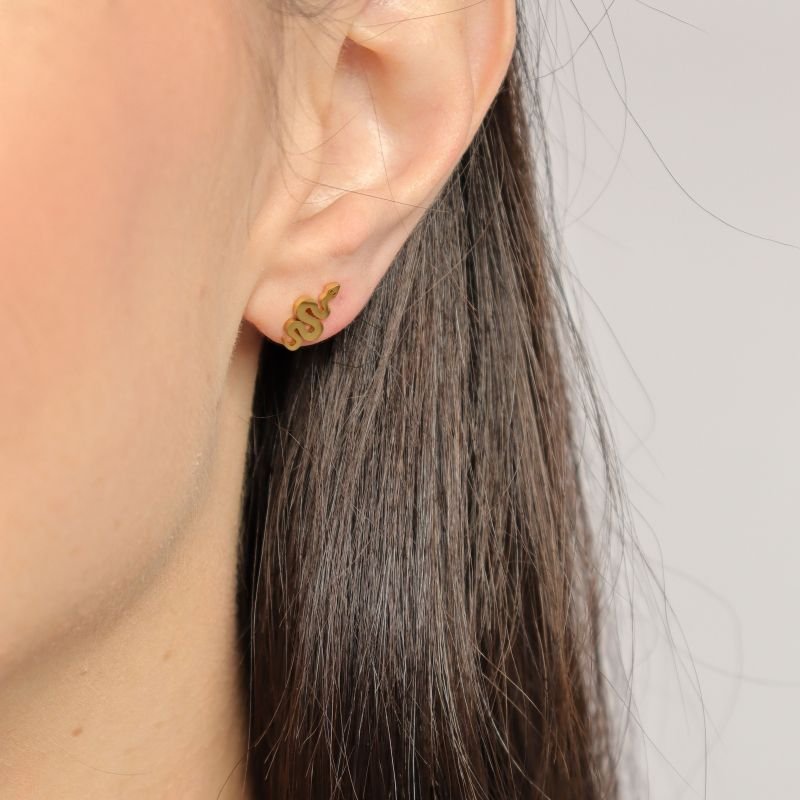 Brinco Cobrinha em Aço Inox