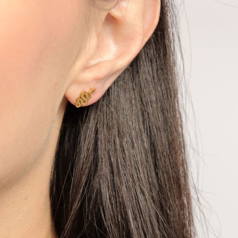 Brinco Cobrinha em Aço Inox