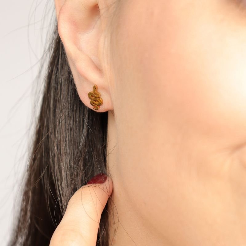 Brinco Cobrinha em Aço Inox