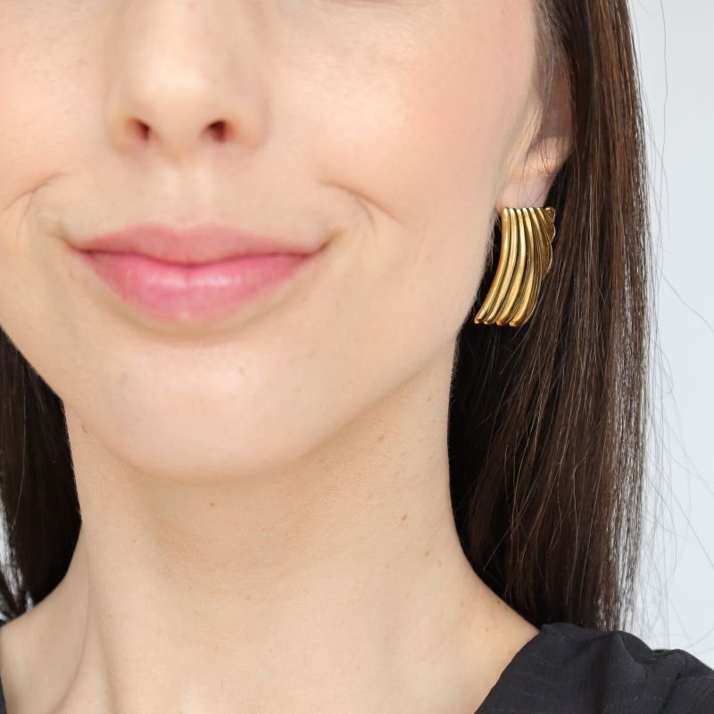 Brinco Orgânico em Aço Inox