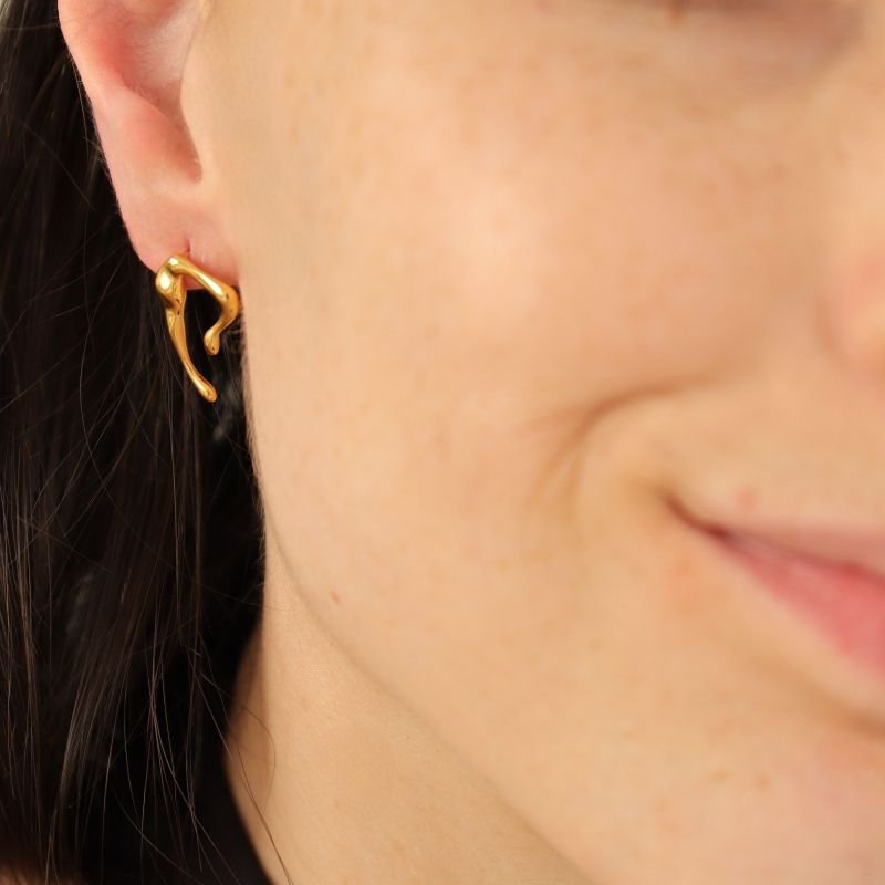 Brinco Orgânico Moderno em Aço Inox (Linha Premium)