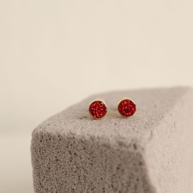 Brinco Tarraxa Parafuso em Aço Inox