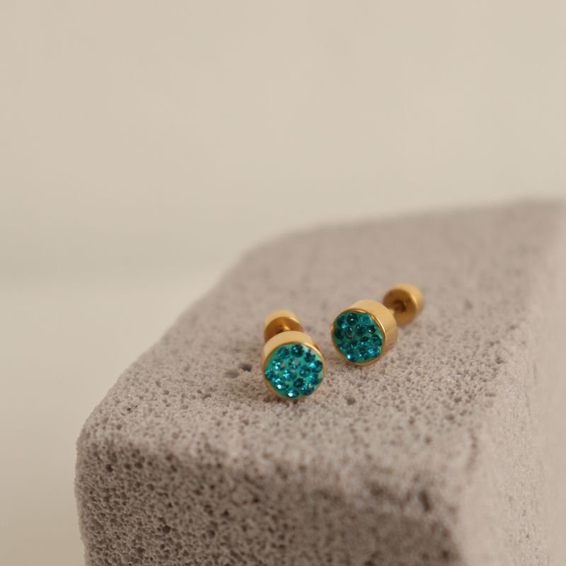 Brinco Tarraxa Parafuso em Aço Inox