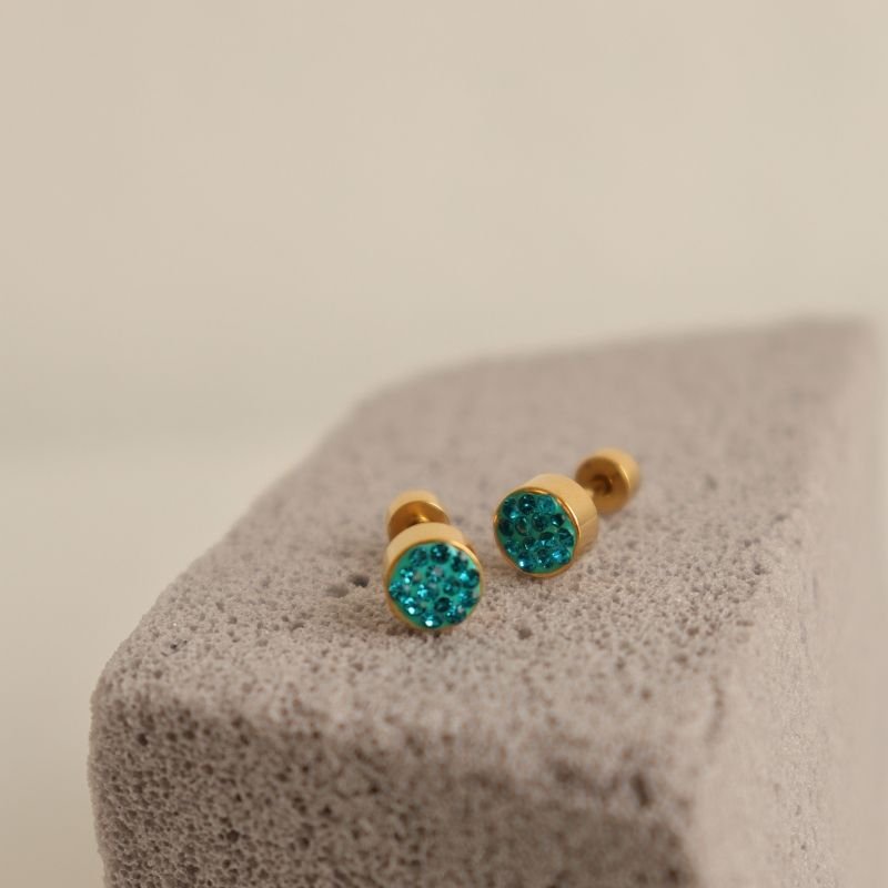 Brinco Tarraxa Parafuso em Aço Inox