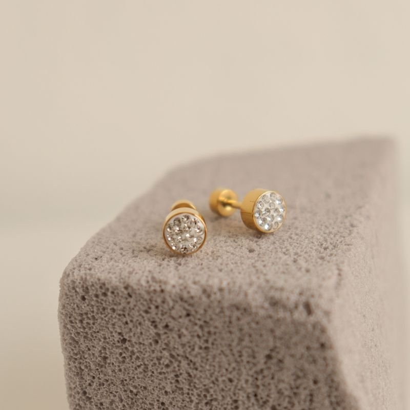 Brinco Tarraxa Parafuso em Aço Inox