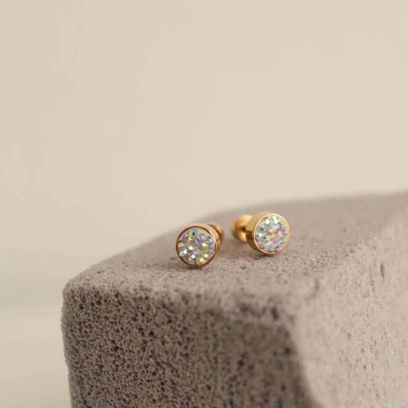 Brinco Tarraxa Parafuso em Aço Inox