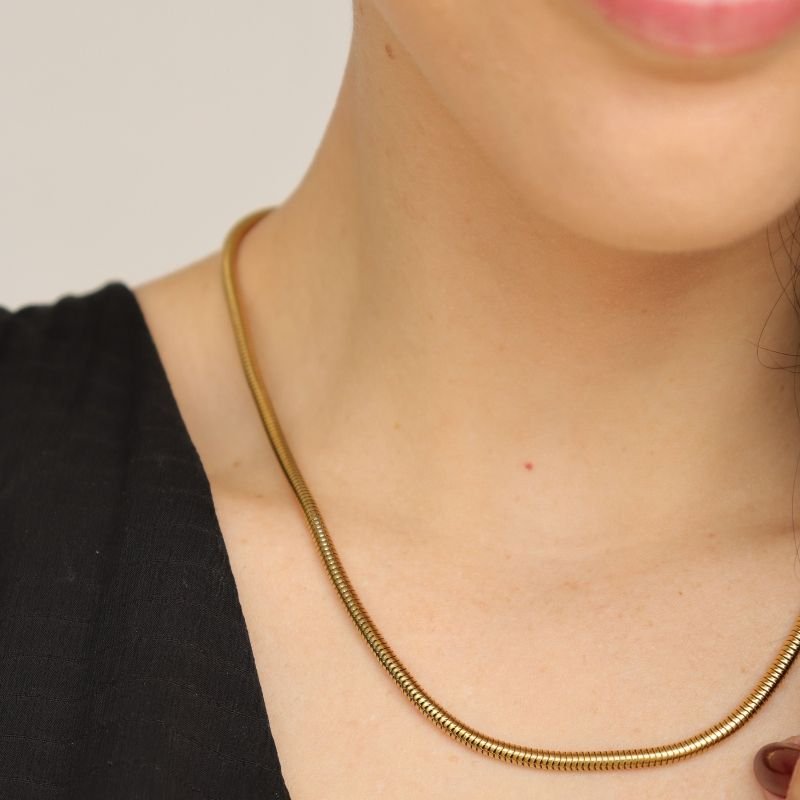 Choker Serpente em Aço Inox