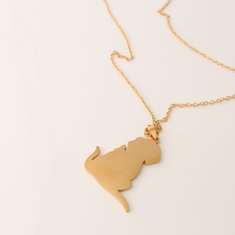 Colar Cachorro e Gato em Aço Inox (Linha Premium)