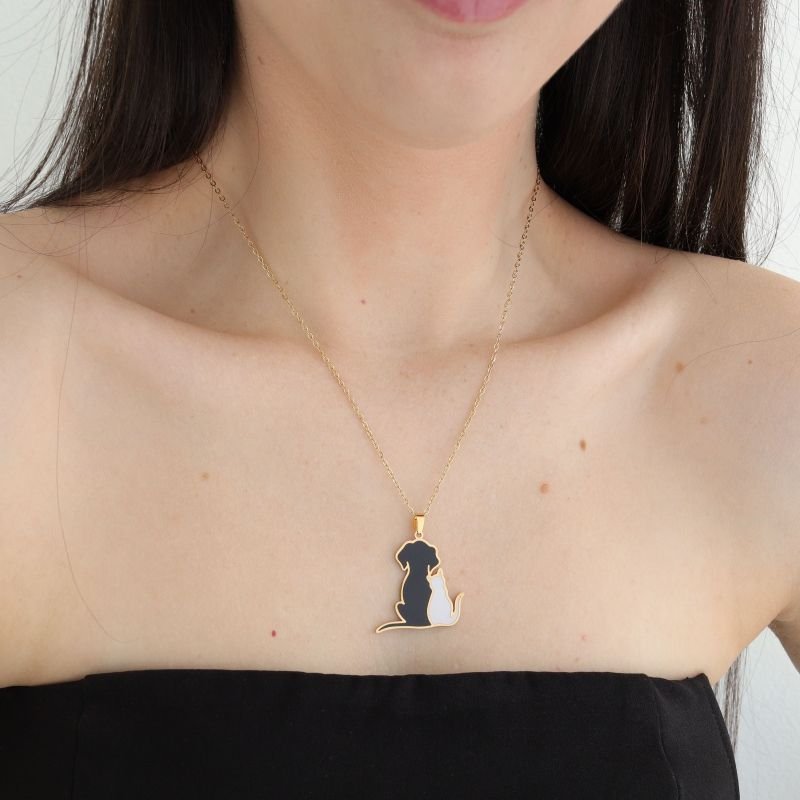 Colar Cachorro e Gato em Aço Inox (Linha Premium)