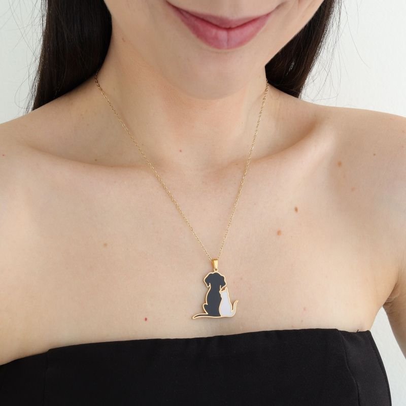 Colar Cachorro e Gato em Aço Inox (Linha Premium)