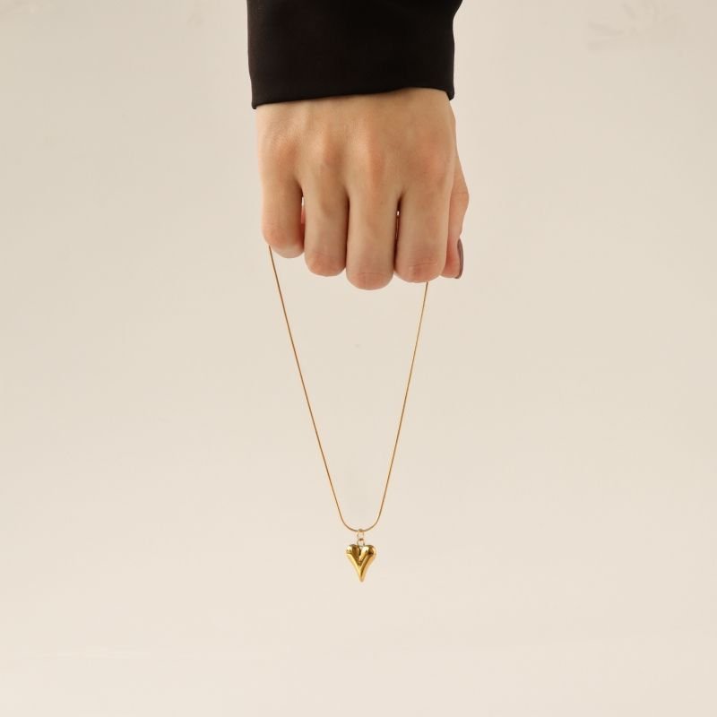 Colar com Pingente Coração em Aço Inox