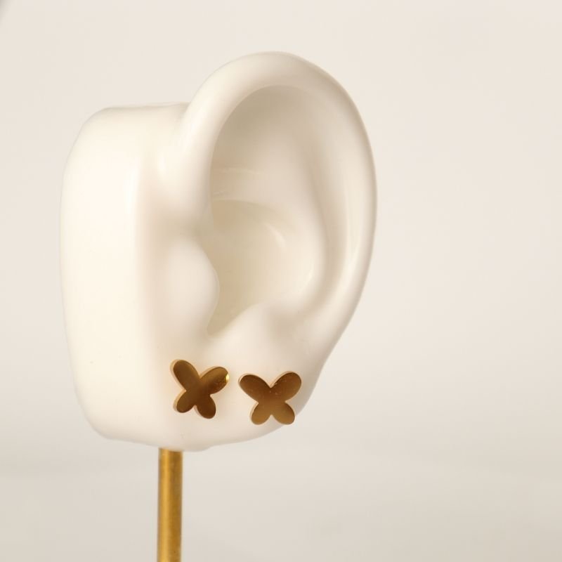 Conjunto Borboleta em Aço Inox