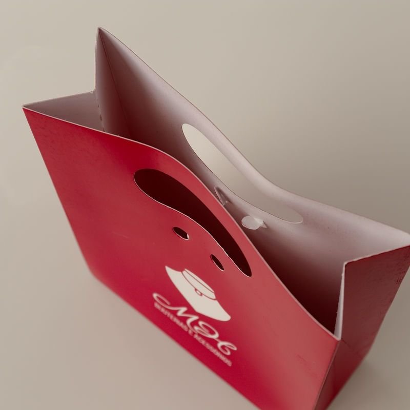 Sacolinha de Papel Premium para presente (Acompanha Laço)